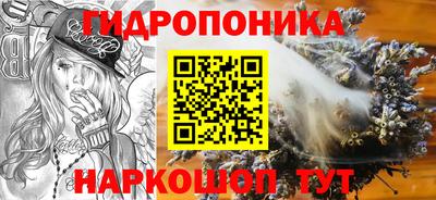 прущие крисы Донской