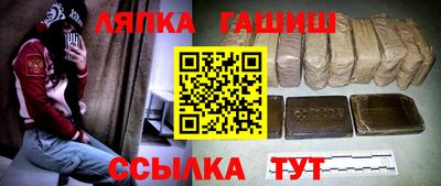 СК Дубна