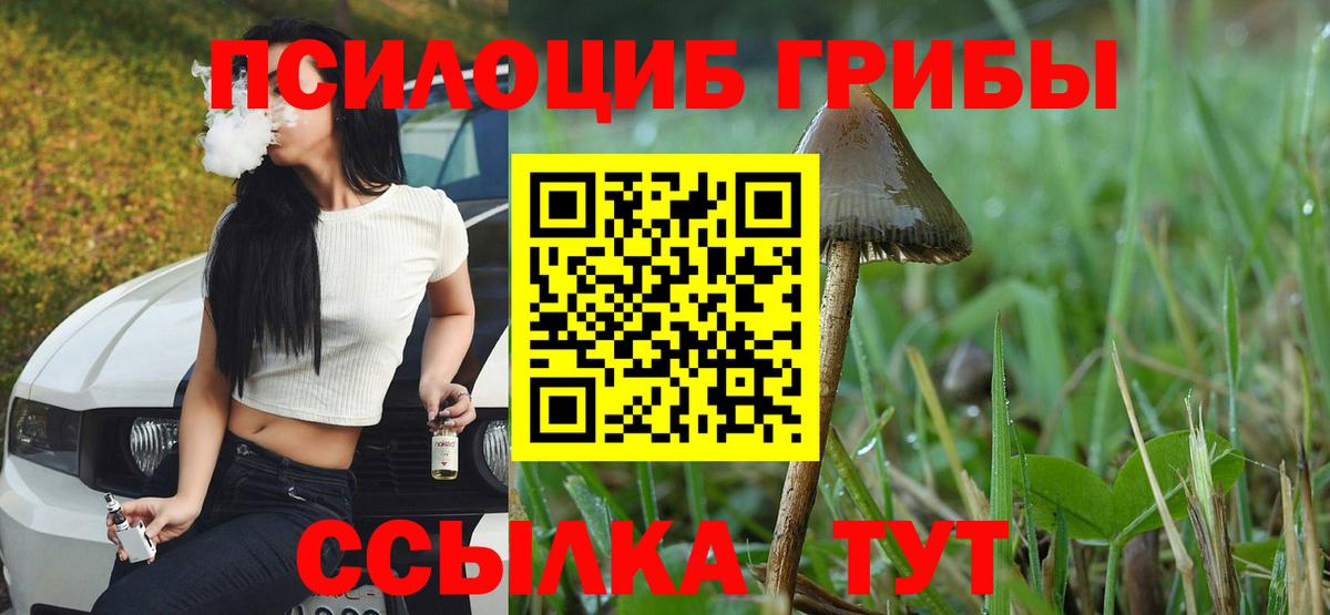 Мелеуз  Галлюциногенные грибы ЛСД  Вход с VPN  Псилоцибиновые грибы Cubensis 